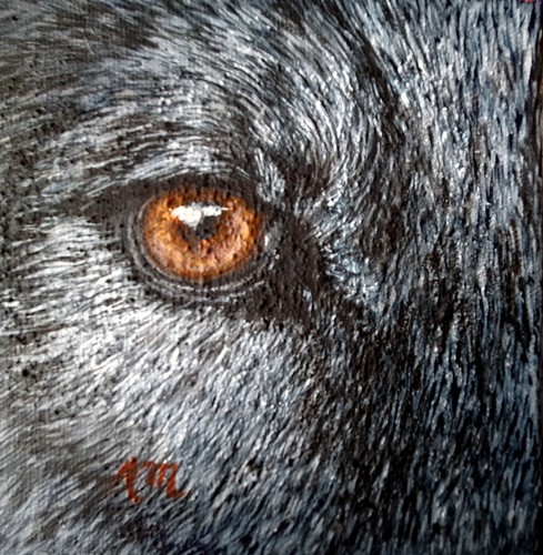 Wolf auge acryl gemälde - auge,