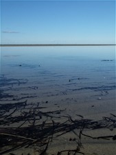 Meihs Zinnteller schwer massiv