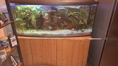 Aquarium panorama 450 6 - panorama, fx