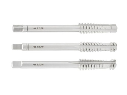 Baer satz hssg - baer,