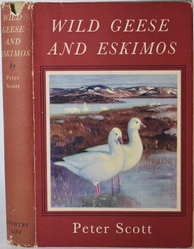Wild geese eskimos peter - &,