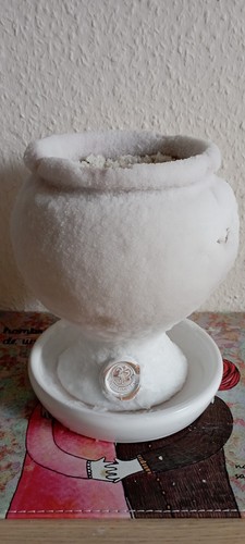 Salsamed salzkelch - salsamed,