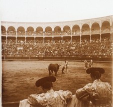 Torero Spanien 1909 Foto