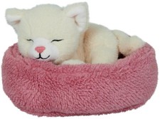 Plüschtier Katze Baby Penny