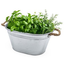 Zink Blumen Wanne mit Kordel Griff - 43x30 cm - Garten Deko Kübel Pflanz Schale