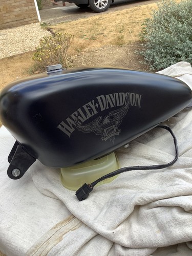 Harley davidson xl883n - harley,