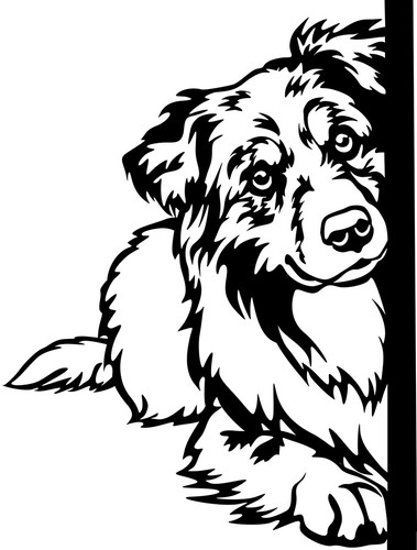 Australian shepherd aufkleber - australian,