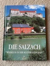 Die Salzach Wildfluss in der