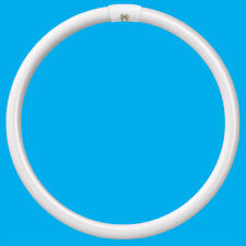  40W G10Q 4 Pin T5 Rund 275 mm