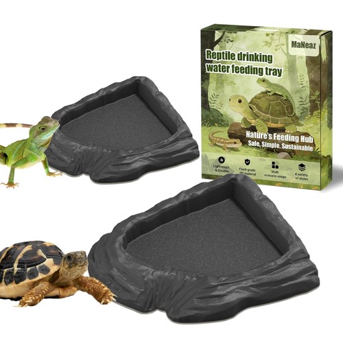 Schildkröten wasserschale - schildkröten,