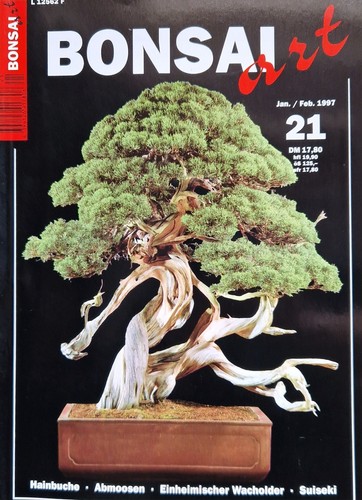 Bonsai art - 10,