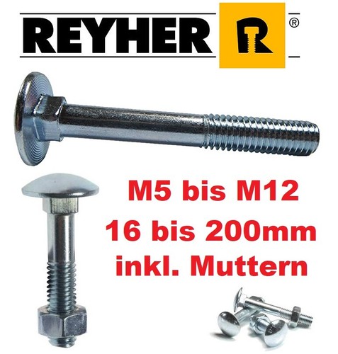 Schloßschrauben m8 m10 - m5,