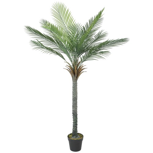 Künstliche palme 180 groß - 180,