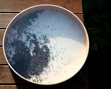 Ocean Drum - 60 cm ⌀