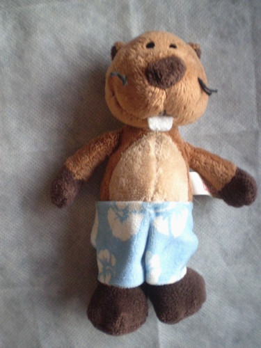 Nici otter biber brandon - otter,