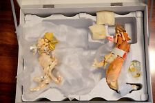 OH! MY GODDESS  BELLDANDY & HOLY BELL  1/6 Cold Cast FIGURE VOLKS Aa Megami-sama