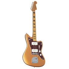 Fender Troy van Leeuwen