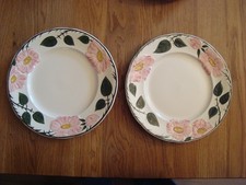 2 Speiseteller Ø 26 cm * Wildrose Villeroy Boch * Fehler