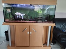 aquarium komplett mit