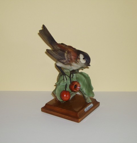 Armani vogel spatz am stamm - am,