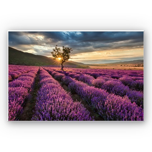 Hartschaum wandbild - hartschaum,