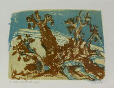 Otto Schlosser/Lithografie /1976 /handsigniert / 55 Exemplare/Alter Baobab / 3