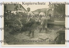 8513a❚ ORIGINAL Foto