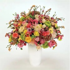 Tocotronic - Schall und Wahn