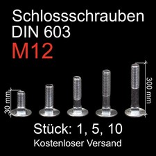 Schlossschrauben M12 verzinkt