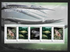 Niederlande 2022: Vissen in de