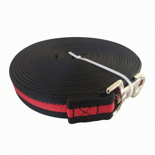 Longe mit karabiner - longe,