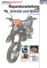 Reparaturanleitung RIS Aprilia