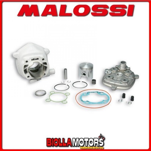 318430 zylinder malossi - 318430, mhr