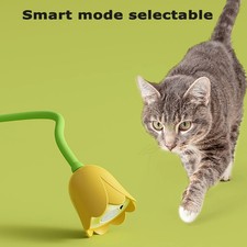 Interaktives Katzenspielzeug