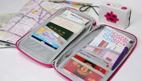 Reise organizer reisepass - organizer,