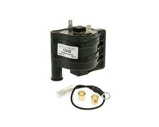 Zündspule MALOSSI passend