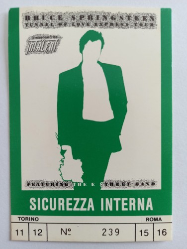 Bruce springsteen concert - bruce,