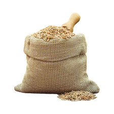 Weizen 25kg, Futterweizen aus