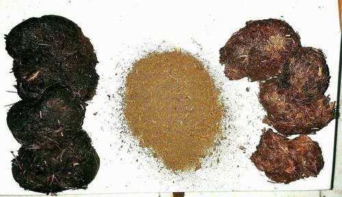Dünger naturdünger dung - dung, bio
