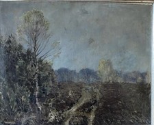 Schöne heidelandschaft - schöne,