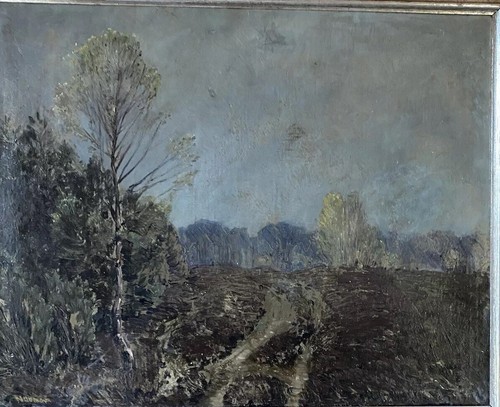 Schöne heidelandschaft - schöne,