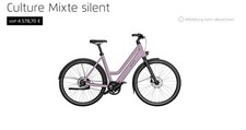 Riese & Müller Culture Mixte