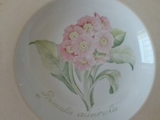 Villeroy Boch Florea