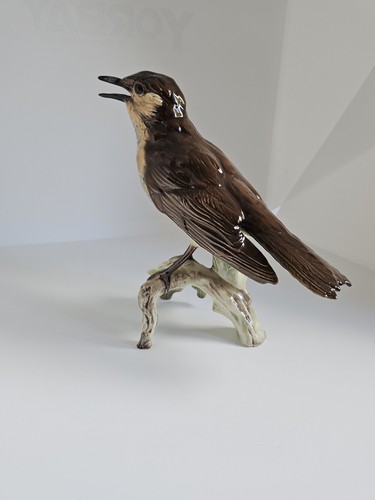 Singdrossel goebel vogel - singdrossel,