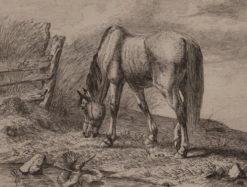 Joseph rogisanzky grasendes - rogisanzky,