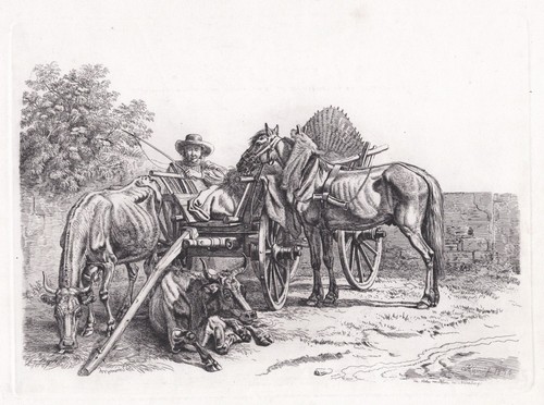 Nürnberg kutsche carriage - nürnberg,