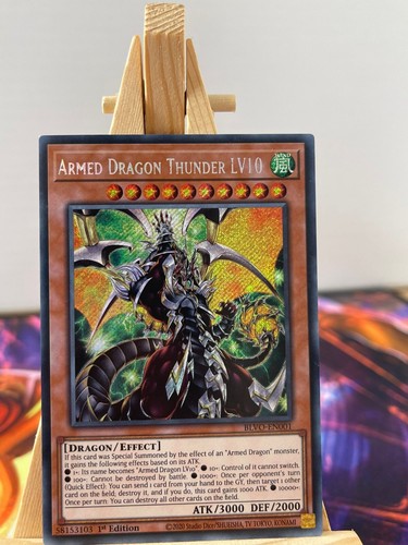 Bewaffneter drache donner - donner, lv10