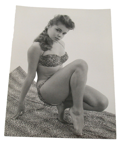 Paul popper photo foto - paul, pin-up