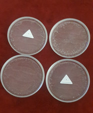 4x  WMF  La Galeria Vintage