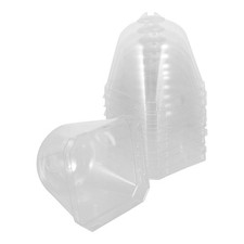  Glockenglocke Keimling